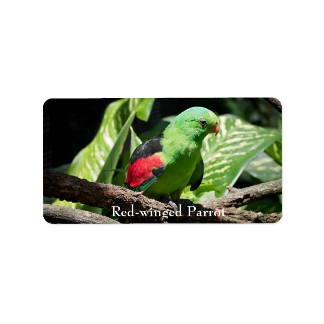 Red-winged Parrot on Tree Limb Label (Front)