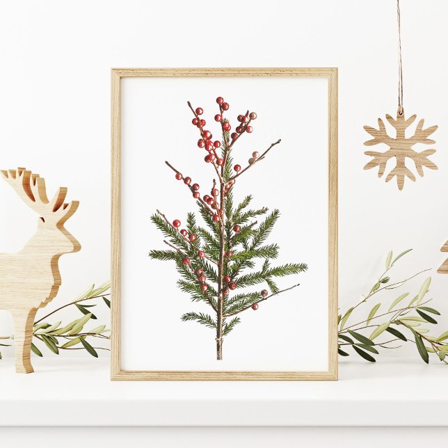 Red Winter Berries and Pine Poster (Creator Uploaded)