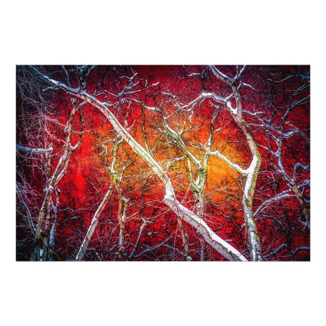 Red winter night photo print (Front)