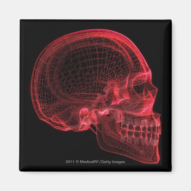 Red wireframe of a skull magnet (Front)