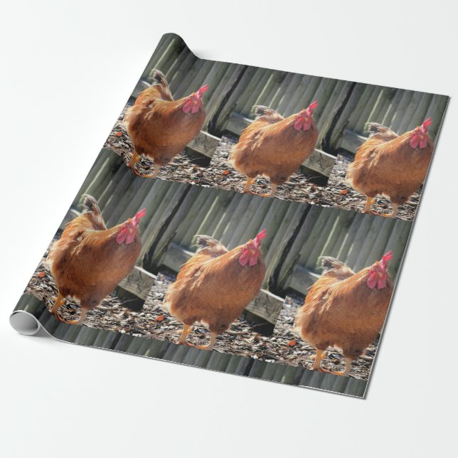 Red Wrapping Paper (Unrolled)