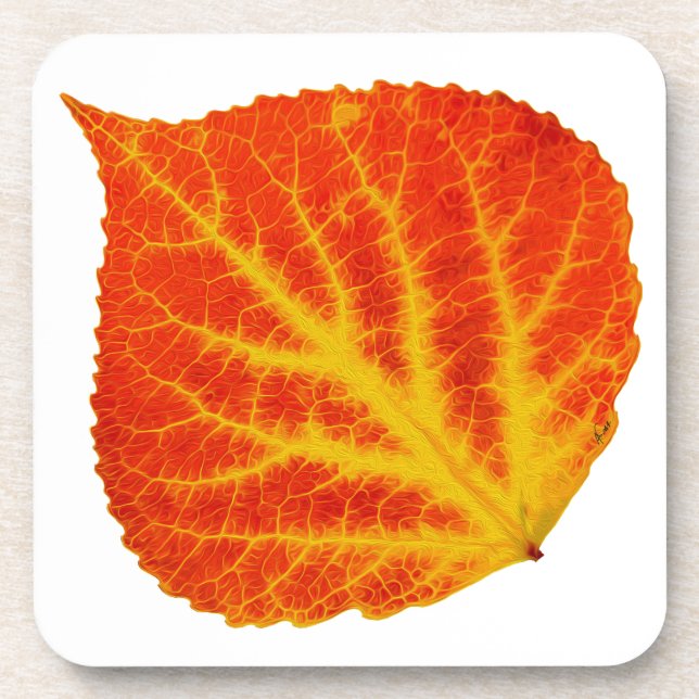 Red & Yellow Aspen Leaf #10 Coaster (Front)