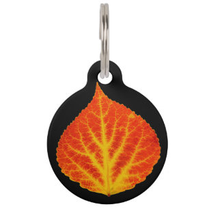 Red & Yellow Aspen Leaf #10 Pet Tag