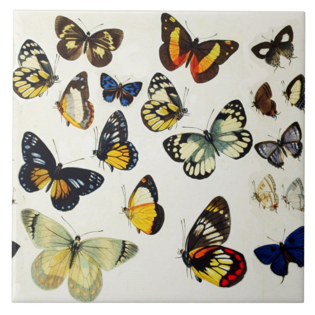 RED YELLOW BLUE WHITE BUTTERFLIES Beauty Nature Ceramic Tile (Front)