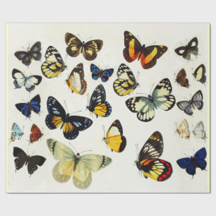RED YELLOW BLUE WHITE BUTTERFLIES Beauty Nature Wrapping Paper