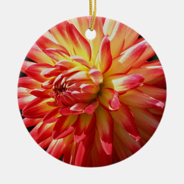 Red Yellow Dahlia Flower Ornament (Front)