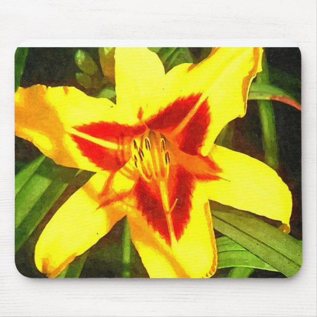 Red & Yellow Daylily Flower Mousepad (Front)