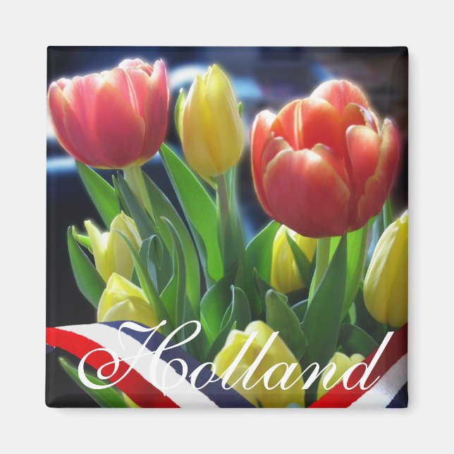 Red Yellow Dutch Tulips Holland Fridge Magnet (Front)