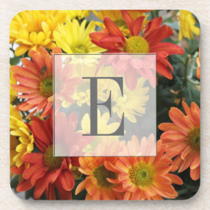 Red, yellow, orange colourful autumn daisy flowers coaster