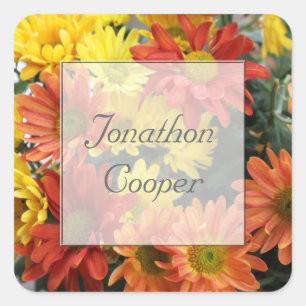 Red, yellow, orange colourful autumn daisy flowers square sticker