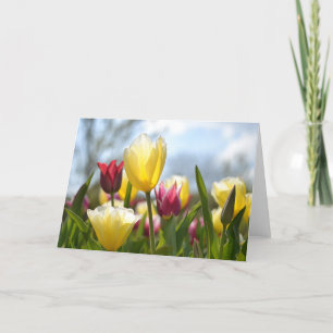 Red, Yellow & Pink Tulips in the Sun Holiday Card