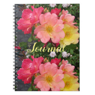 Red Yellow Rose Flower Floral Roses Journal