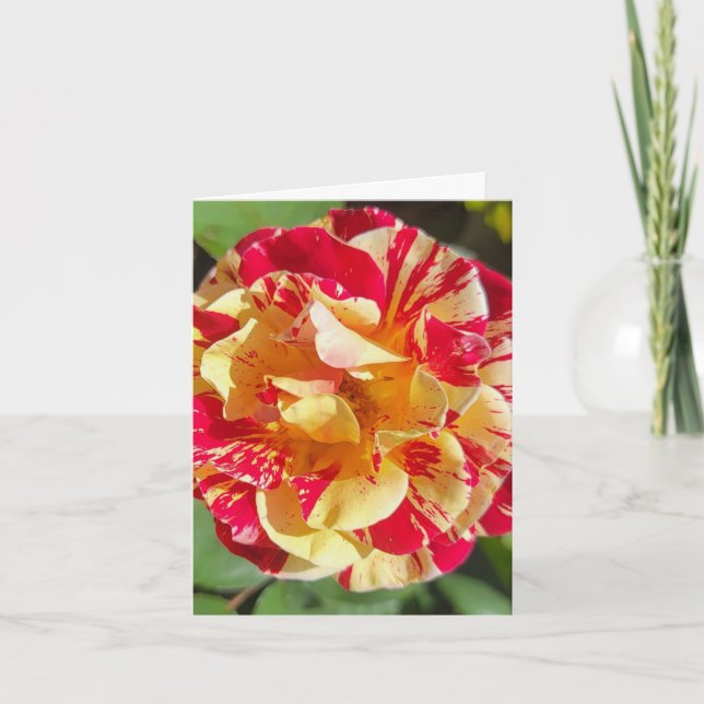 Red & Yellow Rose Personalised Greeting Card (Front)
