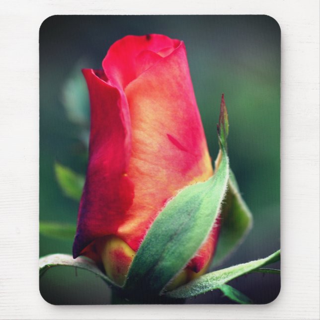 Red Yellow Rosebud Flower  Mouse Pad (Front)
