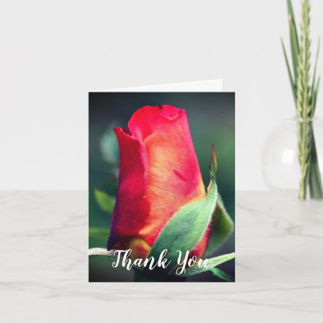 Red Yellow Rosebud Flower Thank You Card (Front)