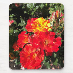 Red & Yellow Roses, Portland, Oregon Mouse Pad