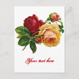 Red & Yellow Roses Postcard