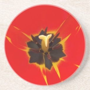 red yellow tulip coaster