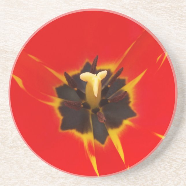 red yellow tulip coaster (Front)
