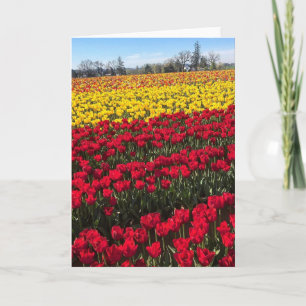 Red & Yellow Tulip Field Card