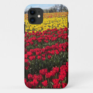 Red & Yellow Tulip Field iPhone 11 Case
