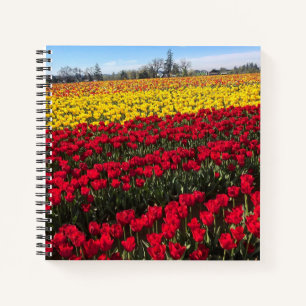 Red & Yellow Tulip Field Notebook