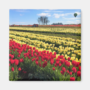 Red & Yellow Tulip Field with Hot Air Balloon Magnet