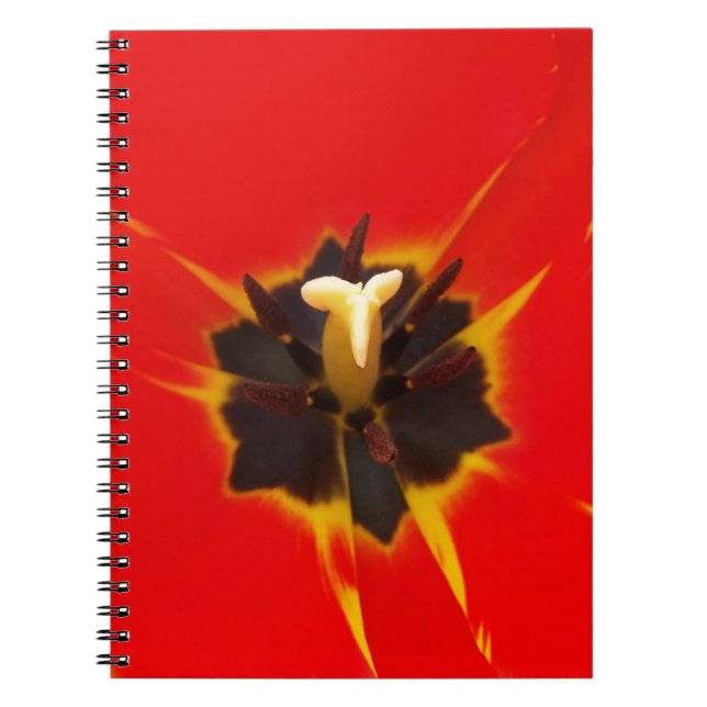 red yellow tulip notebook (Front)