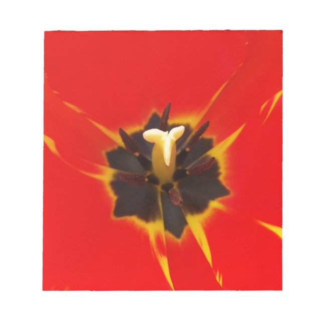 red yellow tulip notepad (Front)