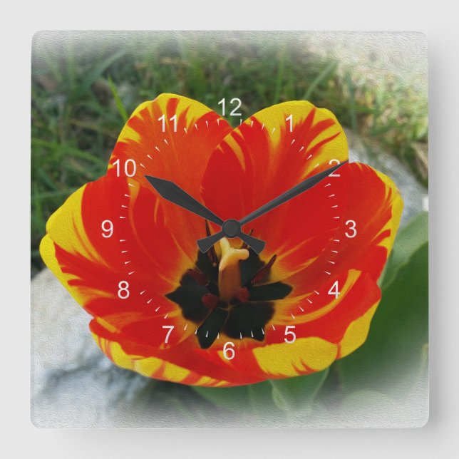 Red yellow tulip square wall clock (Front)