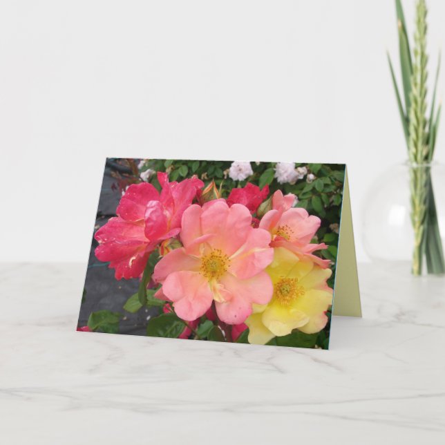 Red Yellow Vintage Rose Roses Flowers Birthday Card (Front)