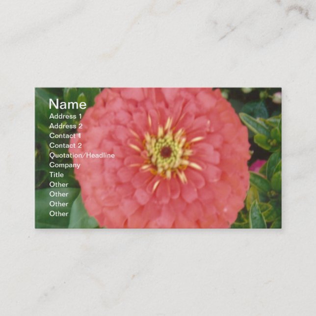 Red Zinnia Business Card (Front)