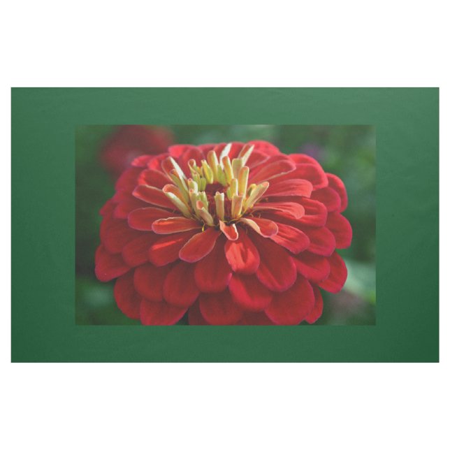 Red zinnia fabric (Yard)