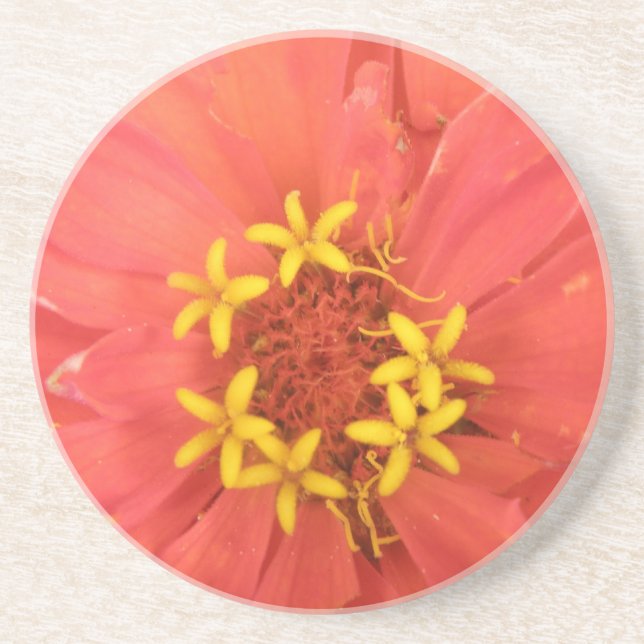 Red Zinnia Macro Coasters (Front)