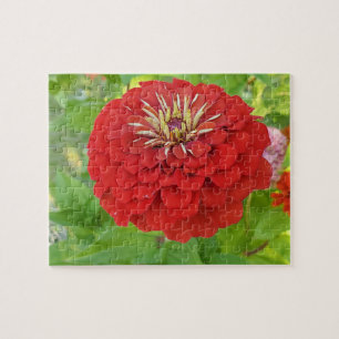 Red Zinnia puzzle