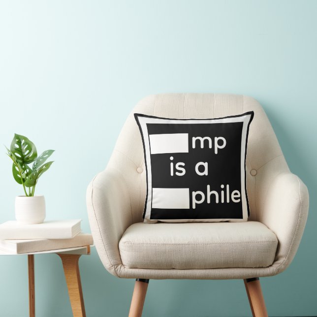 Redacted Throw Pillow (Chair)