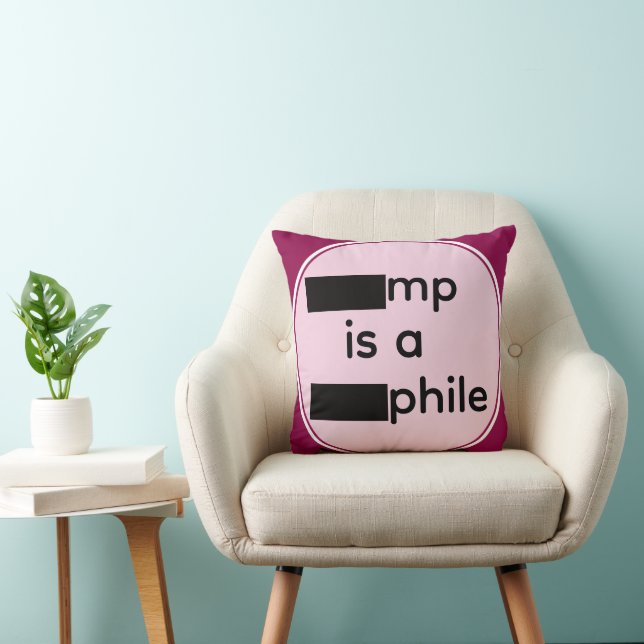 Redacted Throw Pillow (Chair)