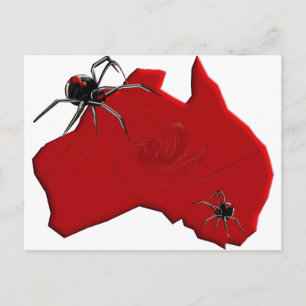 Redback Spider Australia Postcard