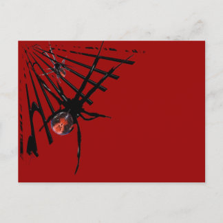 Redback Spider Postcard
