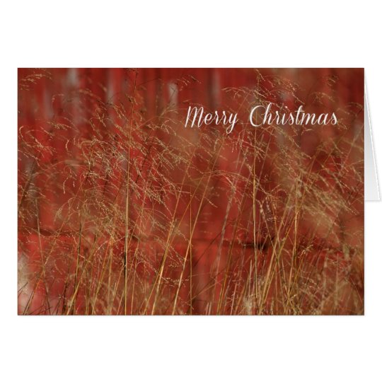 RedBarn Christmas Card