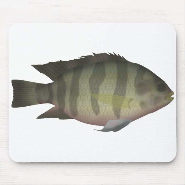 Redbelly Tilapia Mouse Pad (Front)