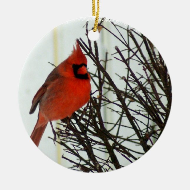 Redbird Ceramic Tree Decoration (Front)