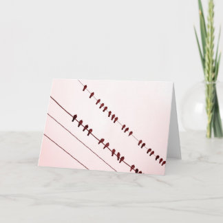 "Redbirds" on Wire Holiday Card