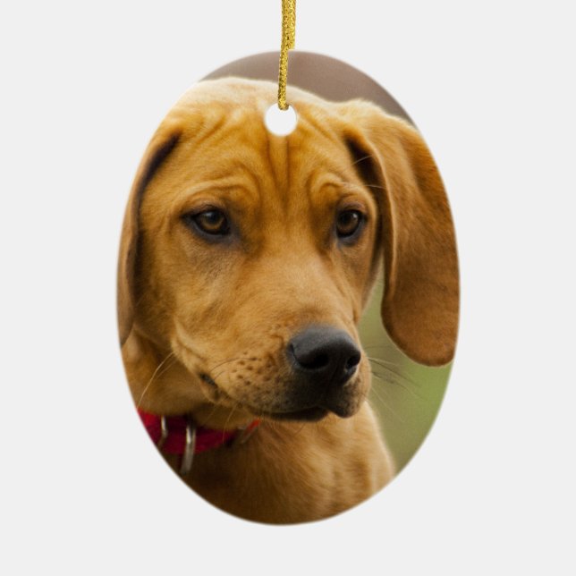Redbone Coon Hound Dog Puppy Ceramic Tree Decoration (Front)