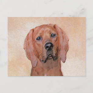 Redbone Coonhound Painting - Cute Original Dog Art Postcard
