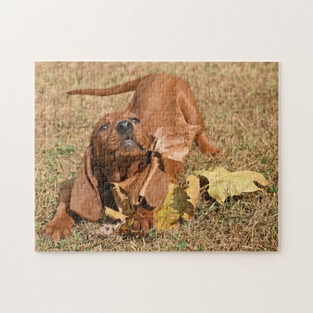 Redbone Coonhound Puppy Playing With Leaves Jigsaw Puzzle (Horizontal)