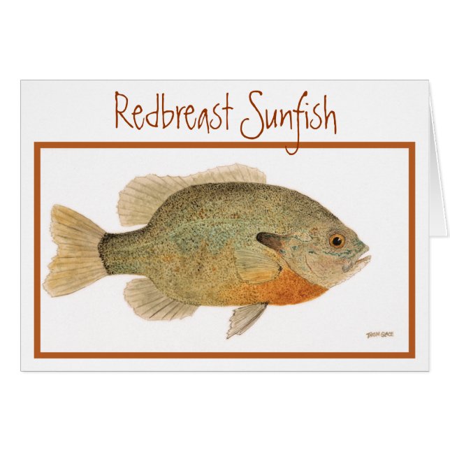 Redbreast Sunfish Card (Front Horizontal)