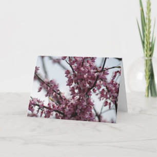 Redbud Blossoms Rejoicing Spring Card