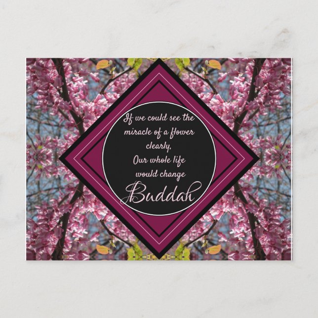 Redbud Branches Budda Flower Quote Postcard (Front)