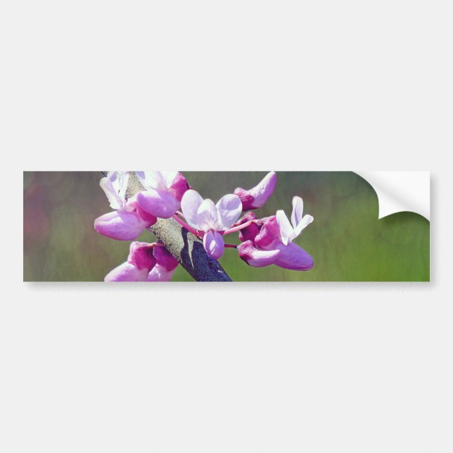 RedBud Bumper Sticker (Front)